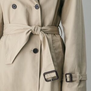 Aritzia Babaton Finch Trench Coat